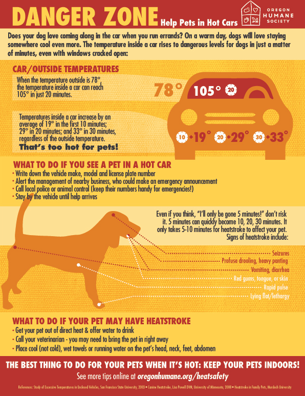 Infographic warns of the dangers of leaving pets in hot cars. Provides signs of heatstroke and actions to take.