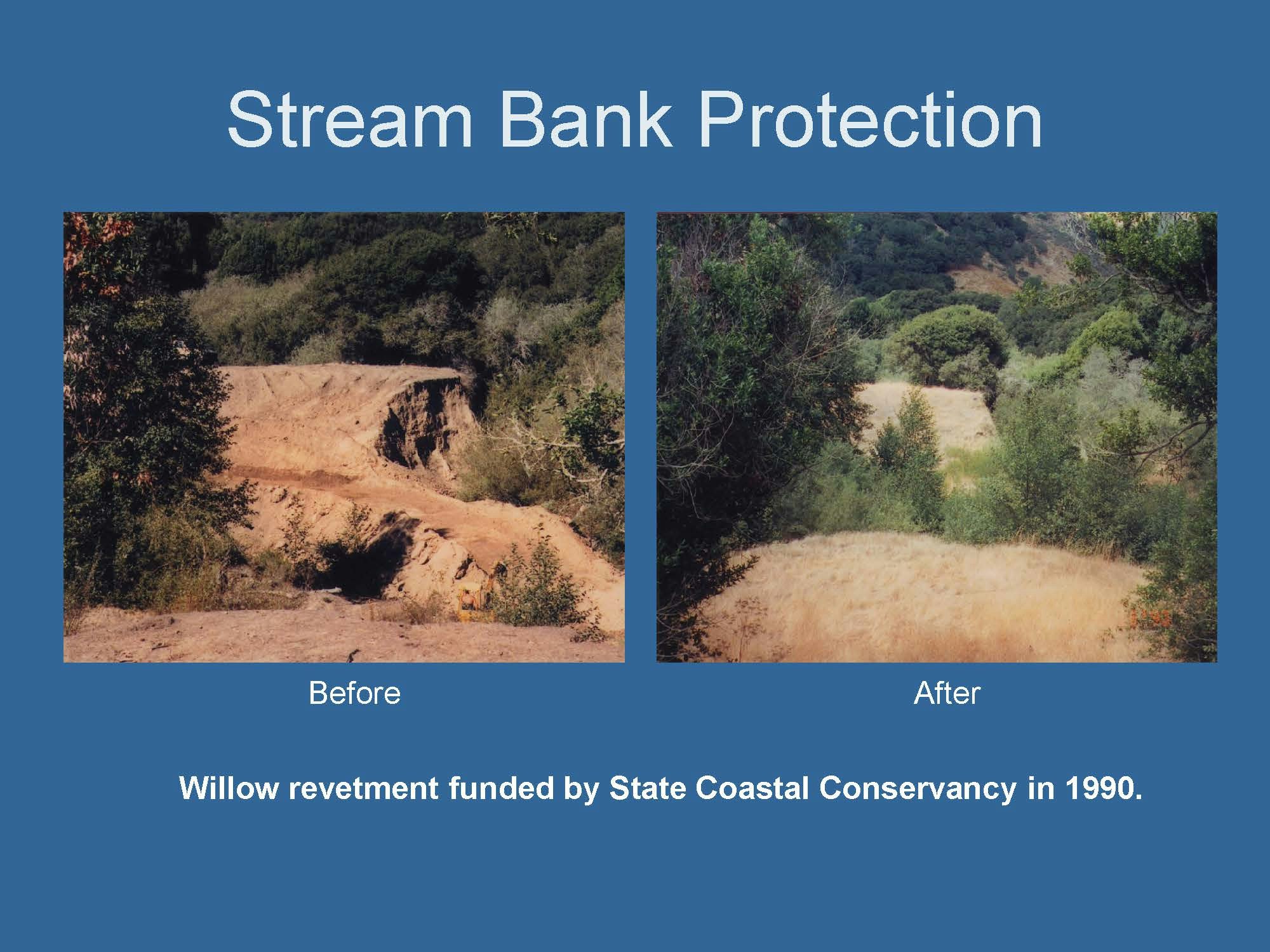 Image shows before-and-after photos of stream bank protection, featuring willow revetment funded by the State Coastal Conservancy in 1990.