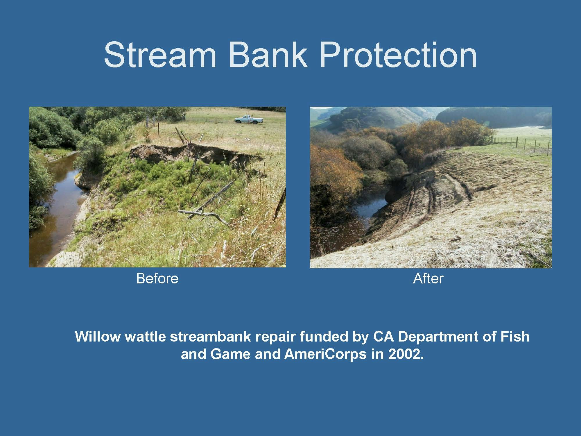 The image shows a stream bank before and after restoration using willow wattles, funded by California agencies in 2002.