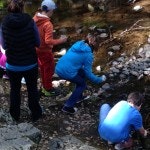 A group of children is playing by a creek, exploring the water and surrounding rocks while wearing colorful jackets.