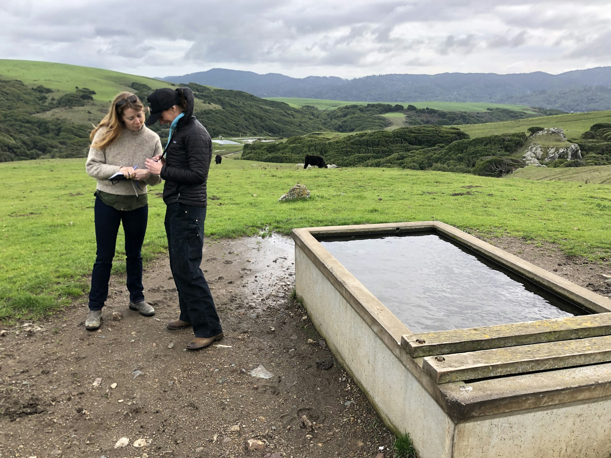 Two people are standing in a grassy field, discussing something while near a water trough, with rolling hills in the background.