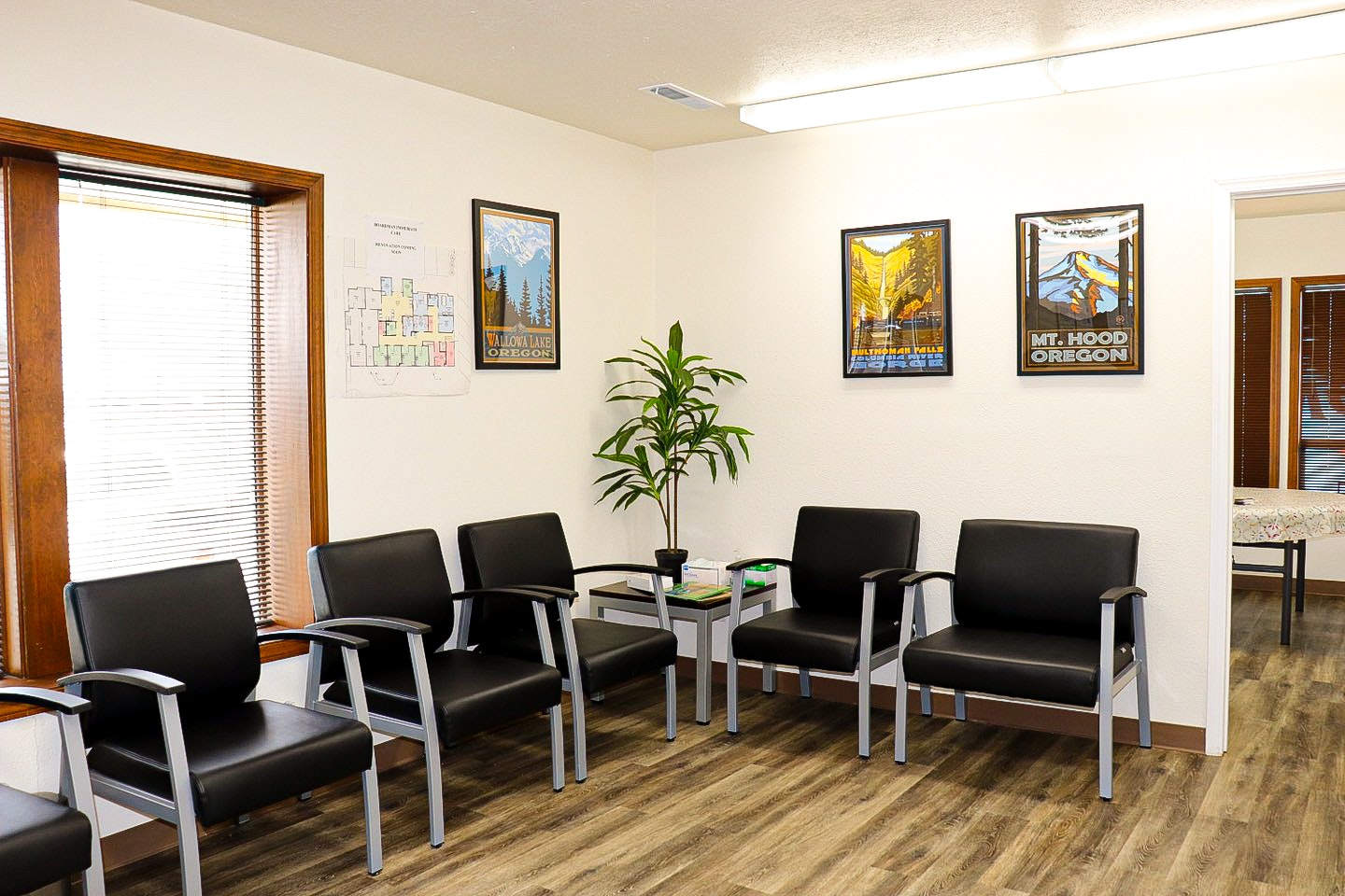 Office waiting room with chairs, posters on the wall, indoor plant, and a wooden floor.