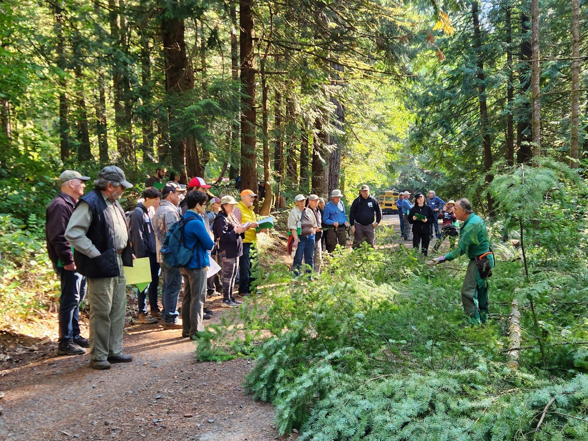 A group of people observe a person demonstrating techniques in a forested area, surrounded by trees and greenery.