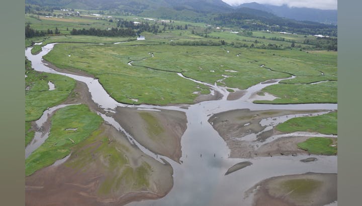Aerial view of a lush, green landscape with winding rivers and wetlands, showcasing the natural beauty of the area.