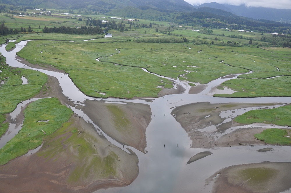 Aerial view of a lush, green landscape with winding rivers and wetlands, showcasing the natural beauty of the area.
