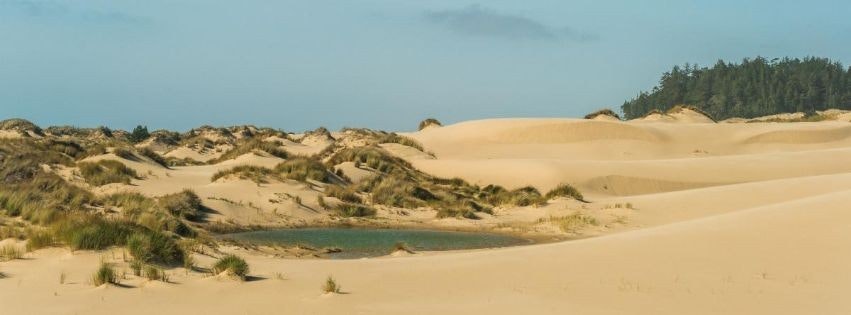 The image showcases a serene landscape of golden sand dunes with sparse vegetation and a small pond, set against a blue sky.