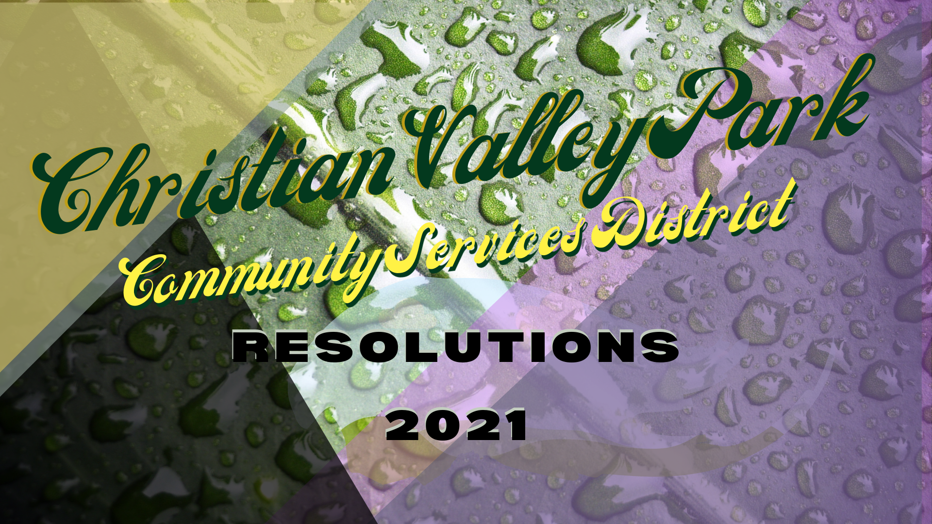 Christian Valley Park, CSD, RESOLUTIONS 2021 landing Page Graphic