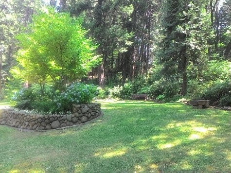 Meadow grass with raised rock walled garden. Flowers and low trees in garden. Forest trees in background.