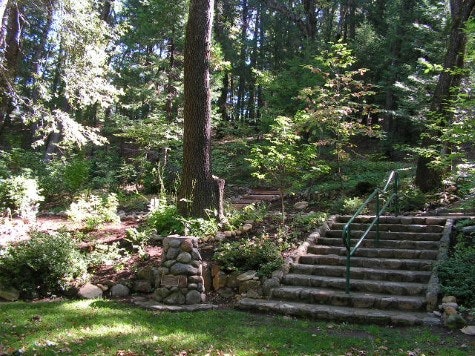 Grass with rock wall, and a cement staircase with handrails leading up to entry toad.and scattered trees.