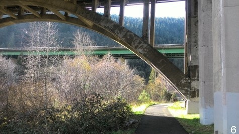Tauhindauli Park footbath under freeway bridges and local bridge in background with trees and mountains in background.