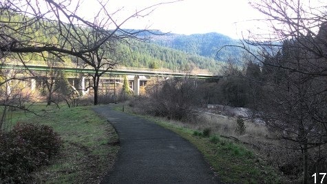 Tauhindauli Park pathway with freeway bridge in background and mountains
