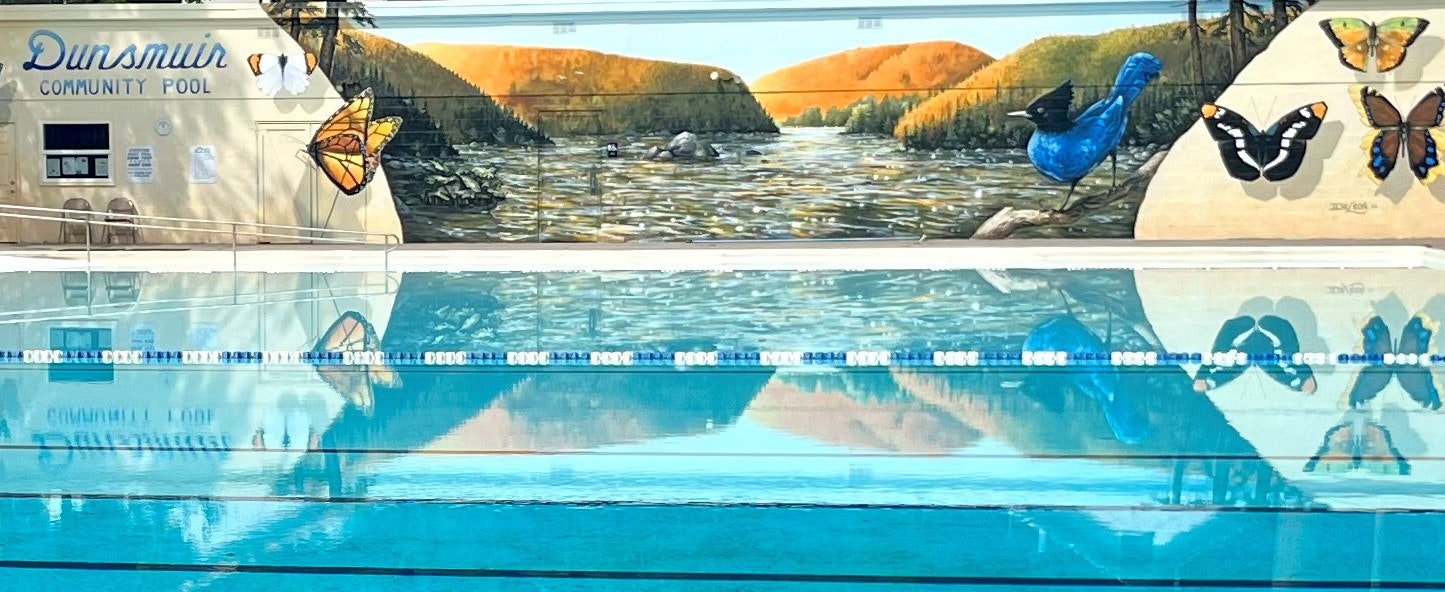 May contain: pool, water, swimming pool, leisure activities, person, sport, swimming, water sports, outdoors, animal, and bird