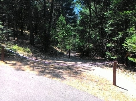 Entrance to trail to Amphitheater.