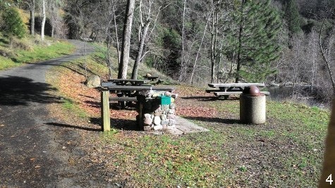Tauhindauli Park picnic tables on grass with drinking fountain and foot trail with trees in background
