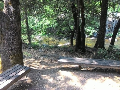 Wood benches at Amphitheater along Sacramento River and scattered trees.