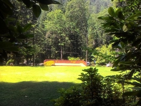 Trees foreground and background looking across green grass with focal point on performance stage.