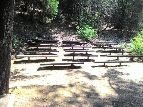 Wood benches at Amphitheater along Sacramento River and scattered trees.