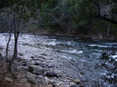 Sacramento River in park with scattered trees along banks.