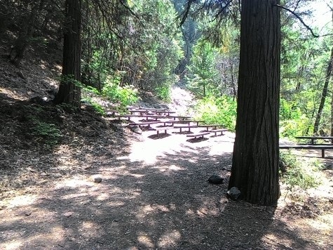 Wood benches at Amphitheater along Sacramento River and scattered trees.