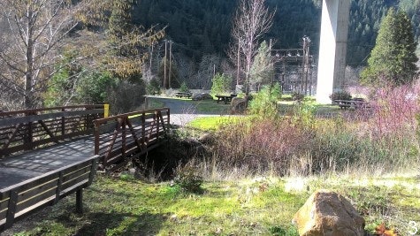 Tauhindauli Park foot bridge over Critter Creek. Grass & brush around bridge and in creek area.