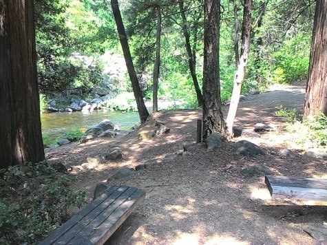 Wood benches at Amphitheater along Sacramento River and scattered trees.