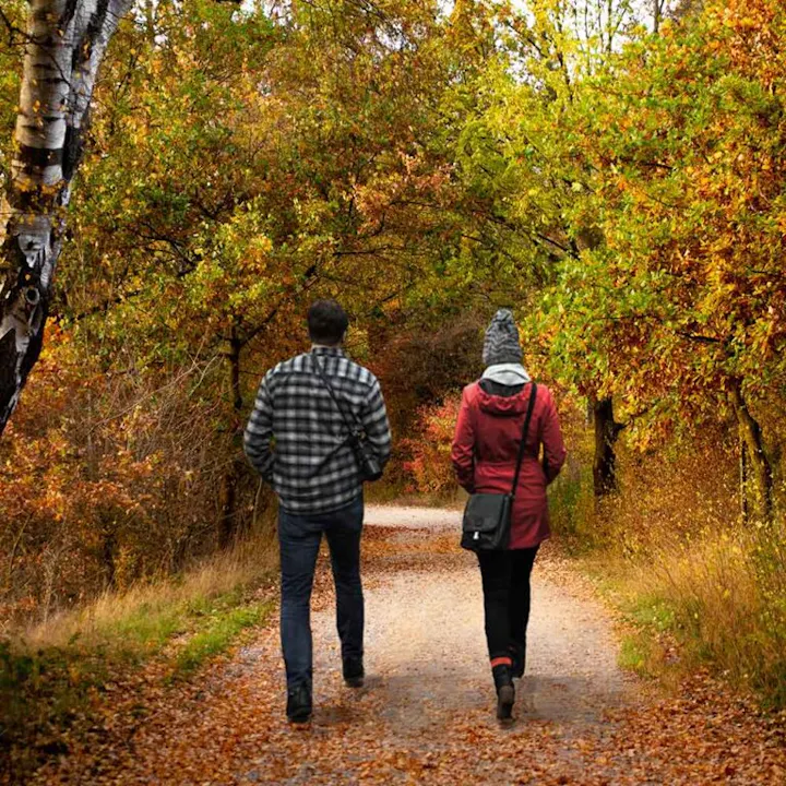 A couple walks down a gravel path surrounded by vibrant autumn trees, enjoying the colorful fall scenery.