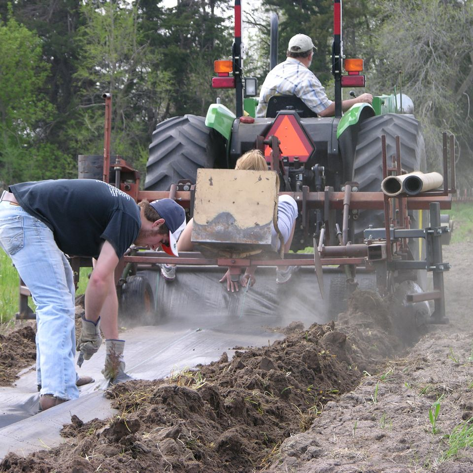 May contain: soil, clothing, pants, adult, male, man, person, outdoors, nature, and worker