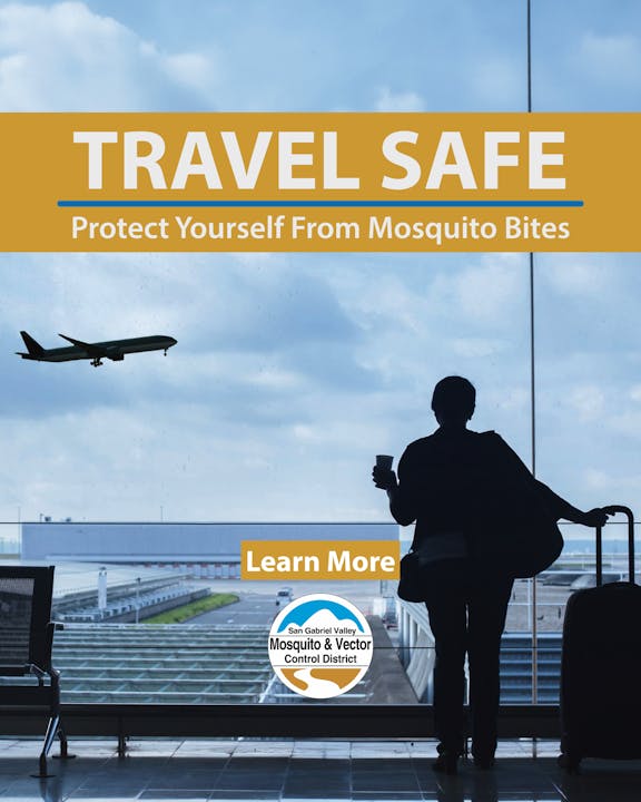 May contain: airport, terminal, adult, male, man, person, accessories, bag, handbag, aircraft, airplane, transportation, vehicle, and airliner