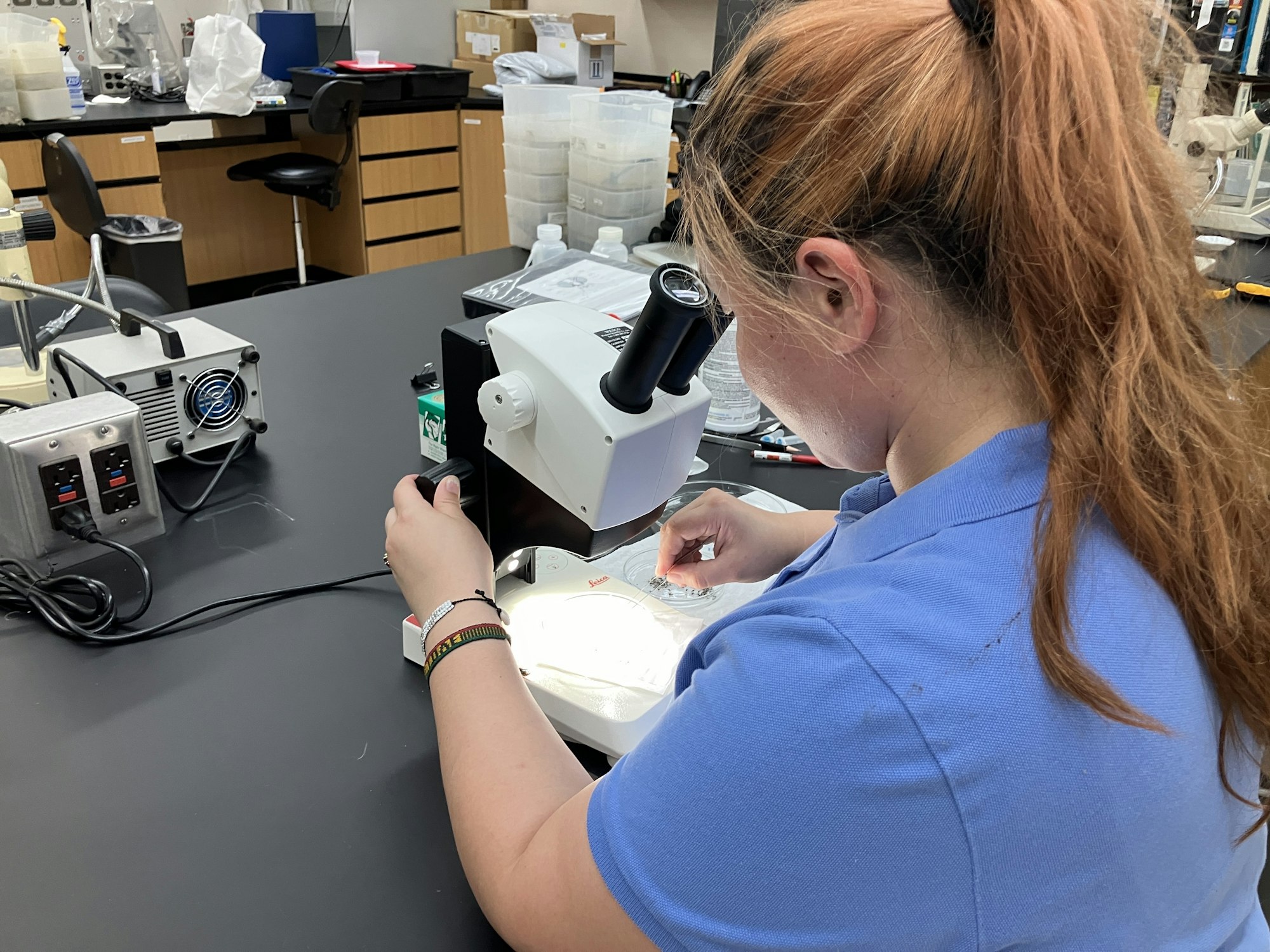 A person using a microscope in a lab setting.