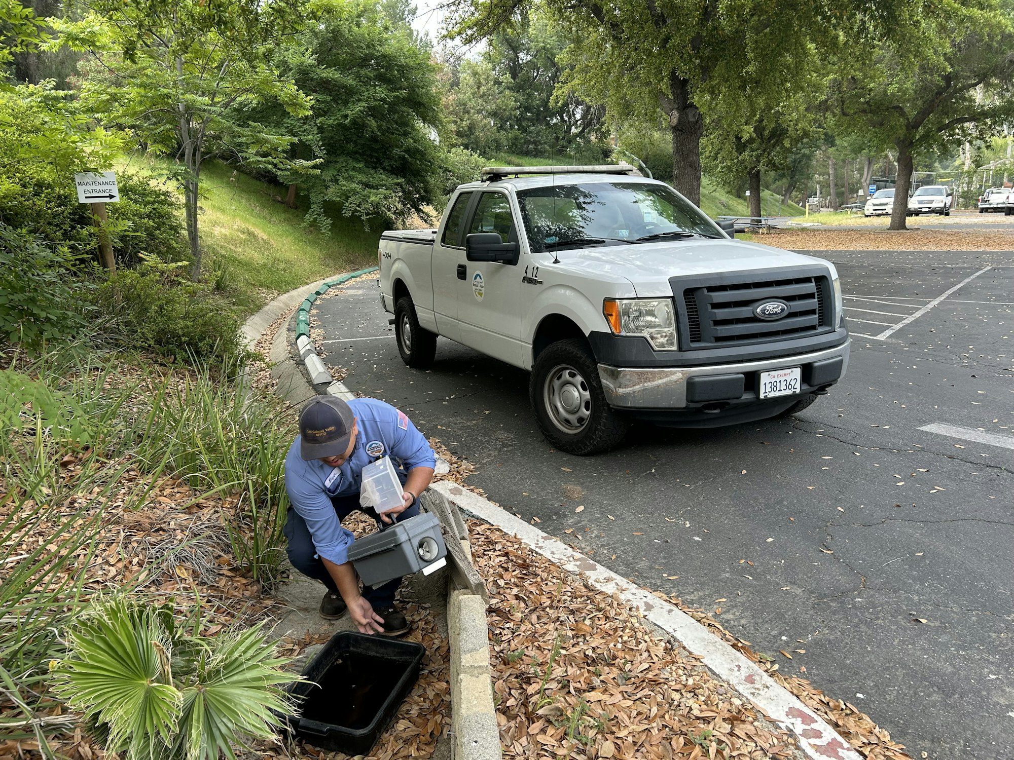 A person kneels by a black tray on the ground near foliage, holding a container, with a white pickup truck nearby.