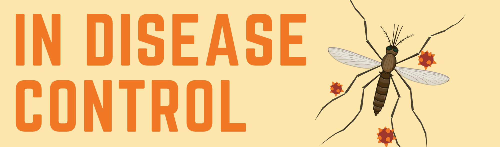 May contain: animal, insect, invertebrate, and mosquito