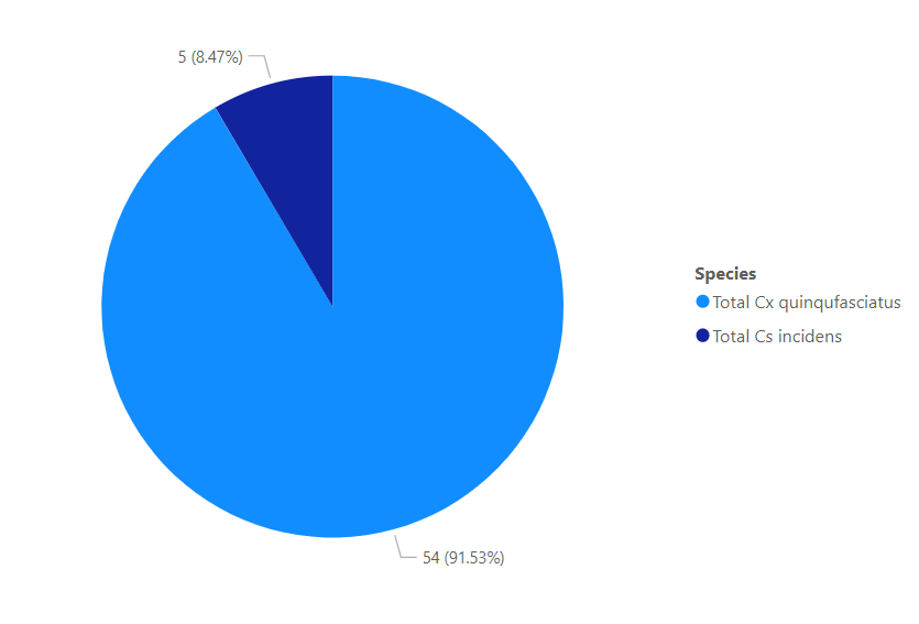 The pie chart shows species counts: 5 (8.47%) for Cx quinquefasciatus and 54 (91.53%) for Cs incidens.