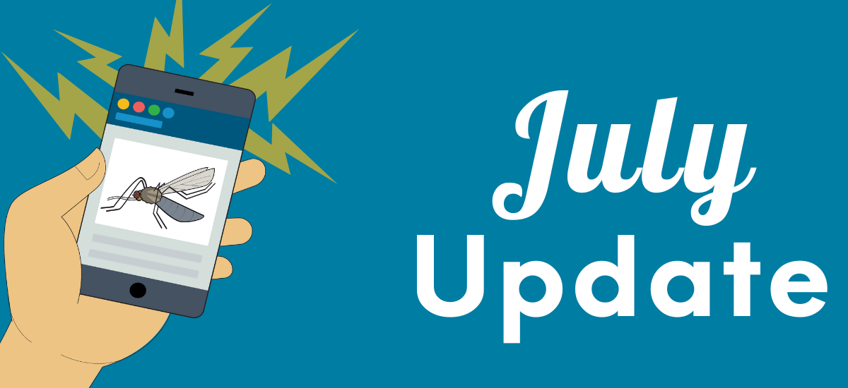 Hand holding a smartphone with a mosquito image, titled "July Update."