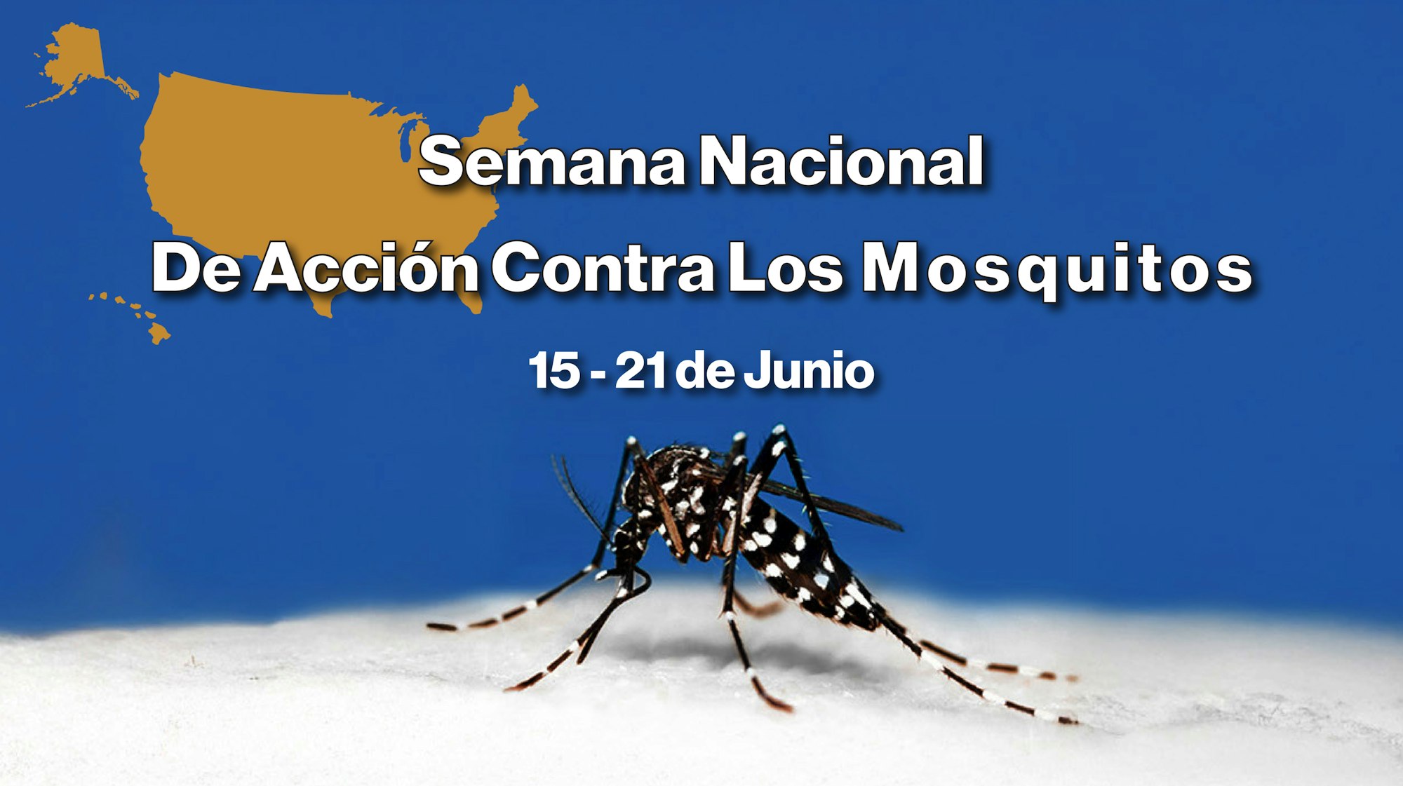Map of the USA with a mosquito and text "Semana Nacional De Acción Contra Los Mosquitos, 15-21 de Junio."