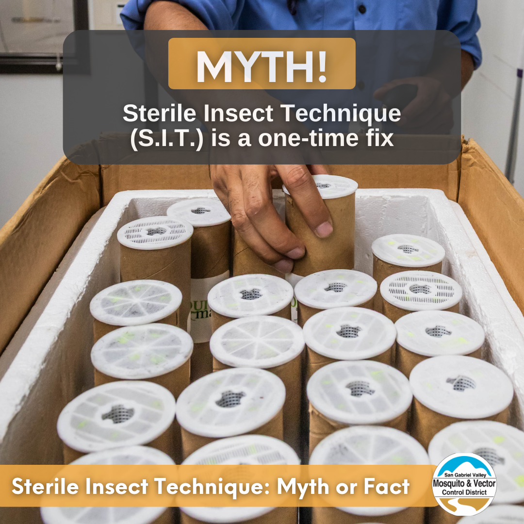 The image debunks the myth that the Sterile Insect Technique (S.I.T.) is a one-time fix for pest control.