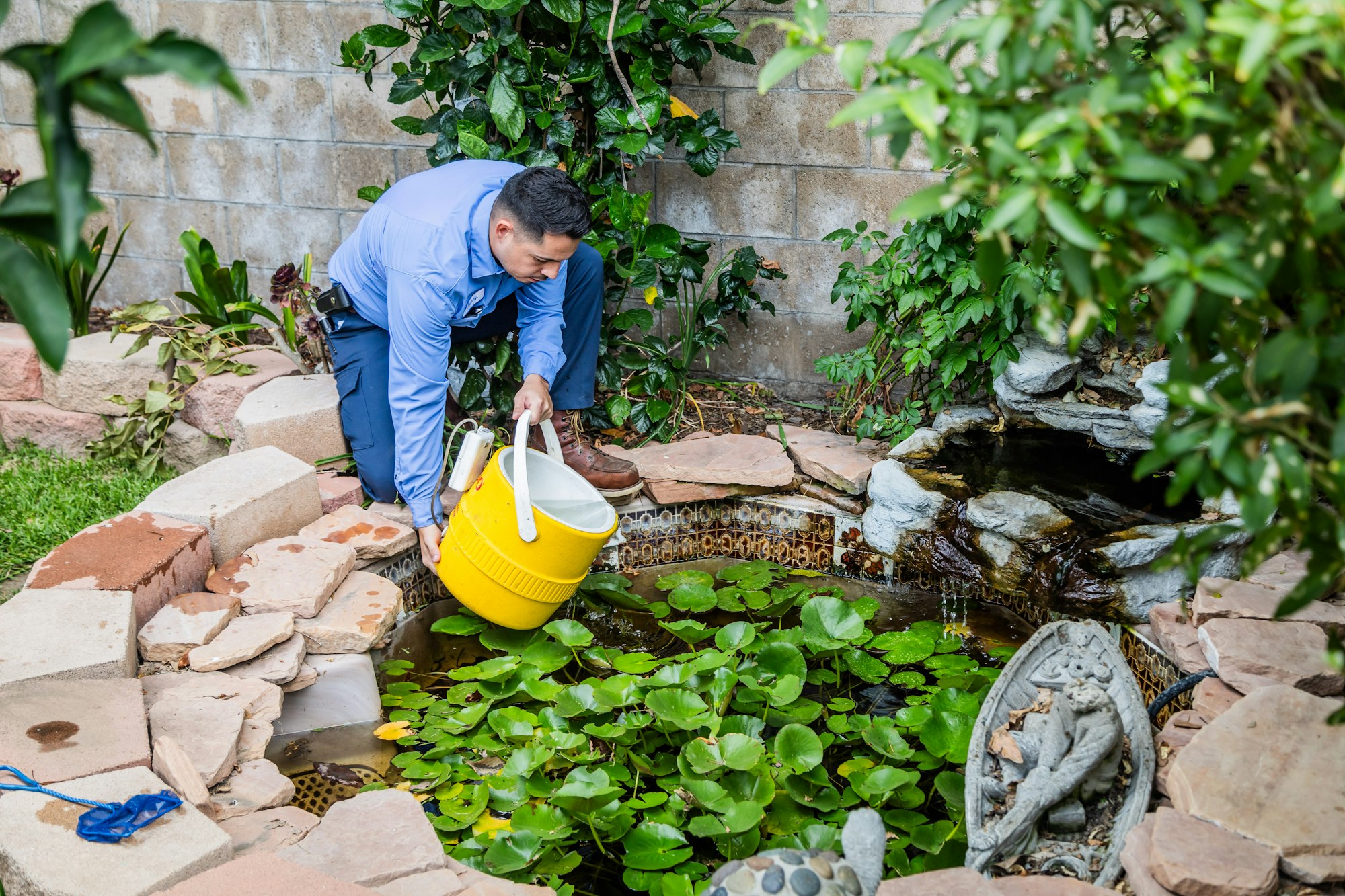 A person watering lily pads in a garden pond.
