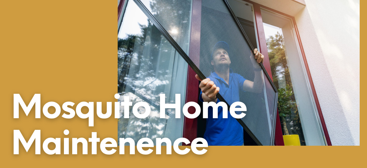 A person is installing or adjusting a mosquito screen on a window, with a focus on home maintenance.