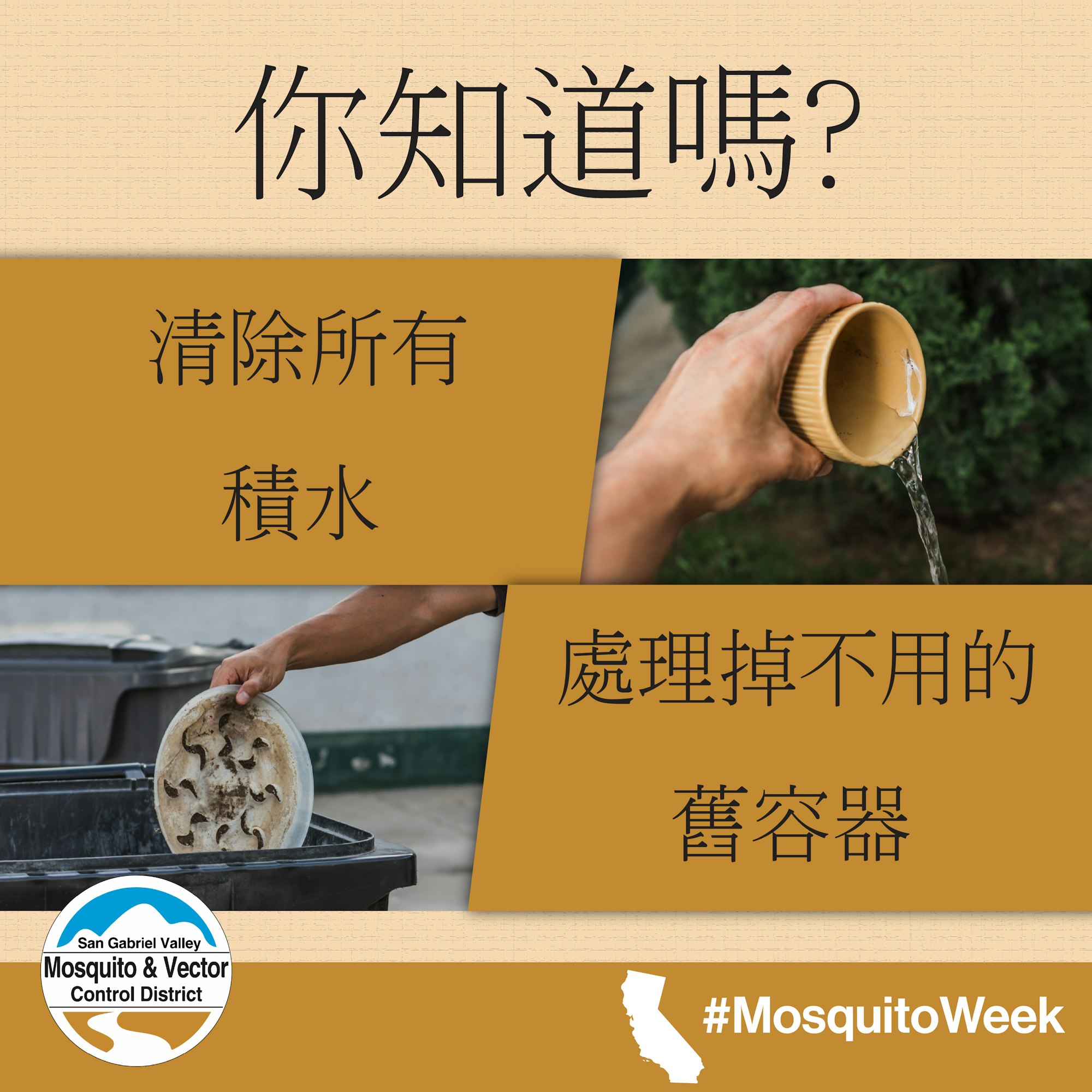 Tips to prevent mosquitoes: remove standing water, discard unused containers. #MosquitoWeek by San Gabriel Valley Mosquito & Vector Control.