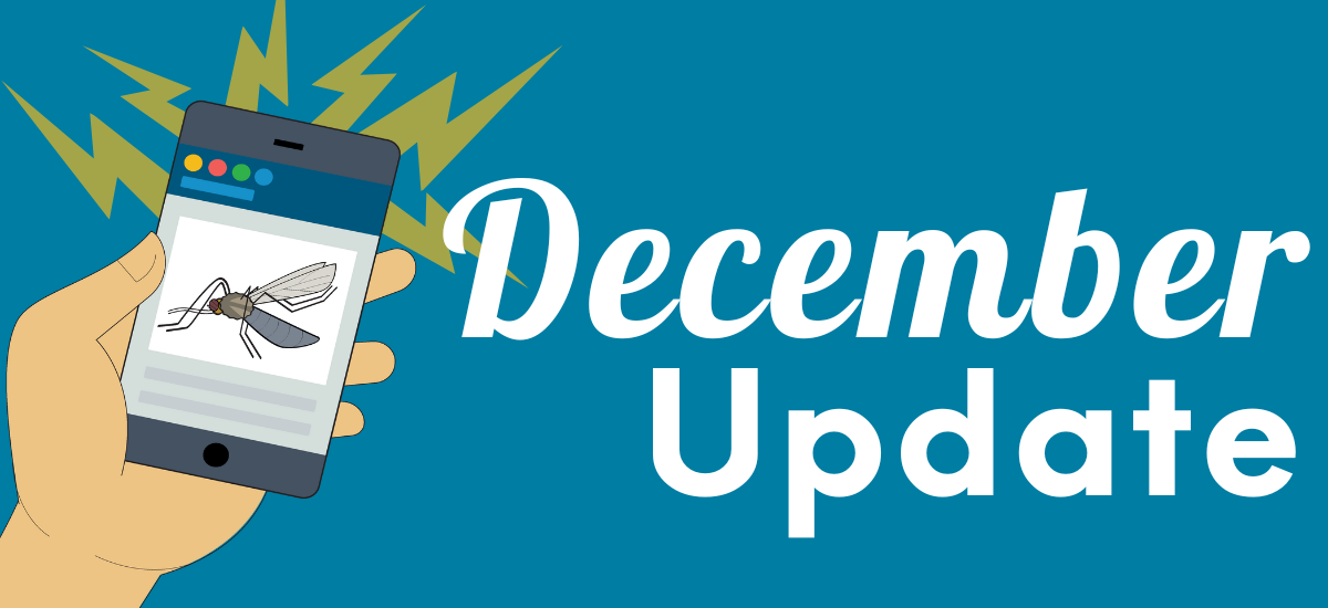 A hand holds a smartphone displaying an insect, with a “December Update” text and graphic elements in the background.