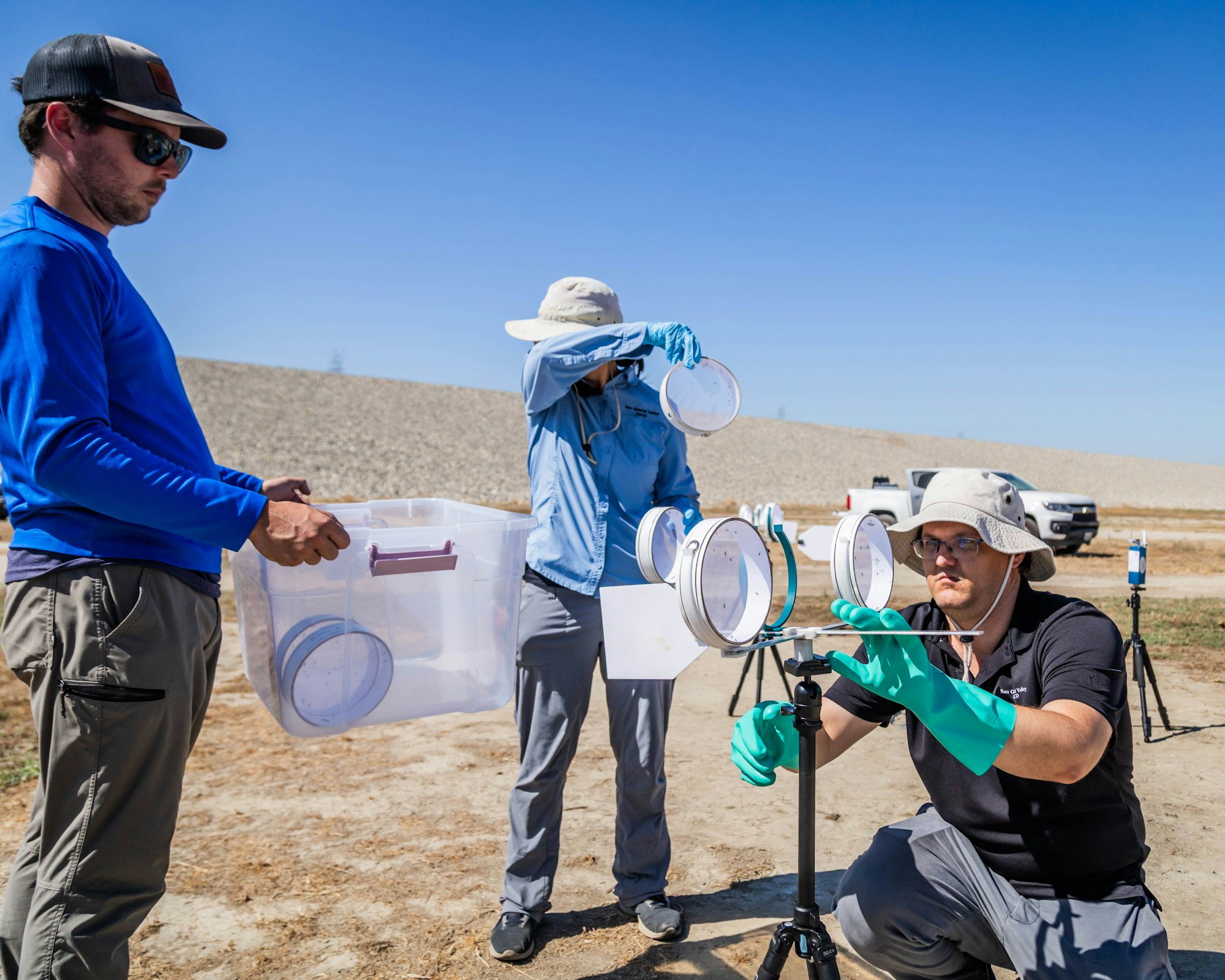 Three people conduct a field study, using equipment and containers in a sunny outdoor setting, likely related to environmental research.
