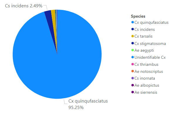 A pie chart shows species distribution, with Cx quinquefasciatus at 95.25% and Cs incidens at 2.49%, among others.