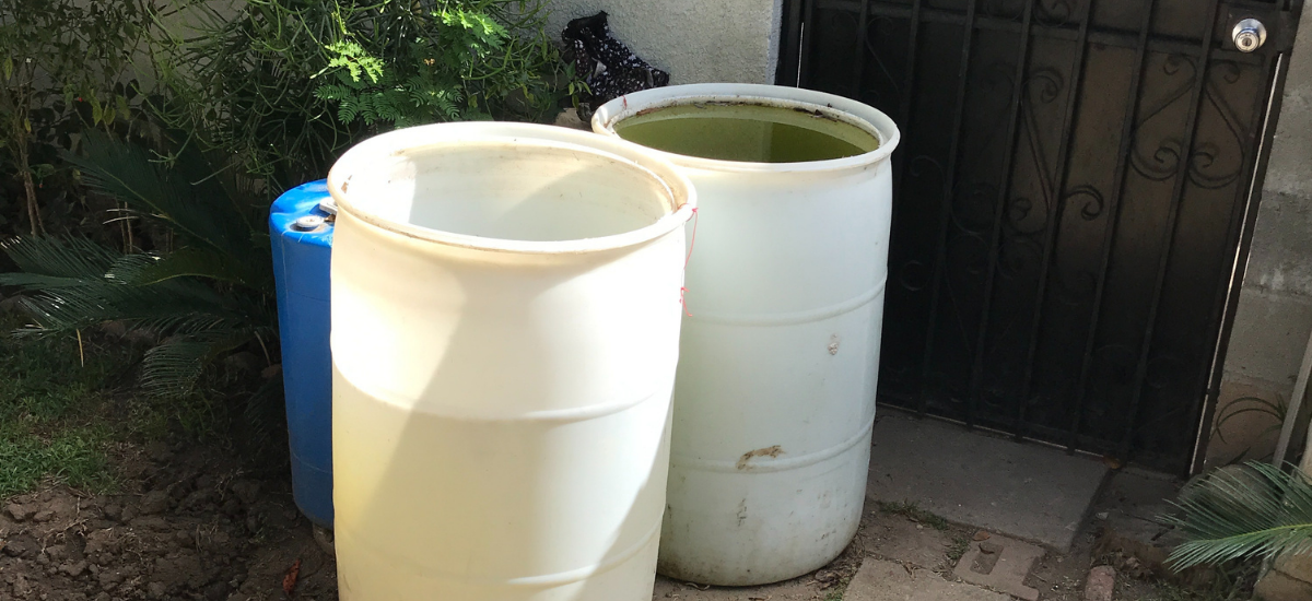 May contain: milk, beverage, drink, barrel, and rain barrel