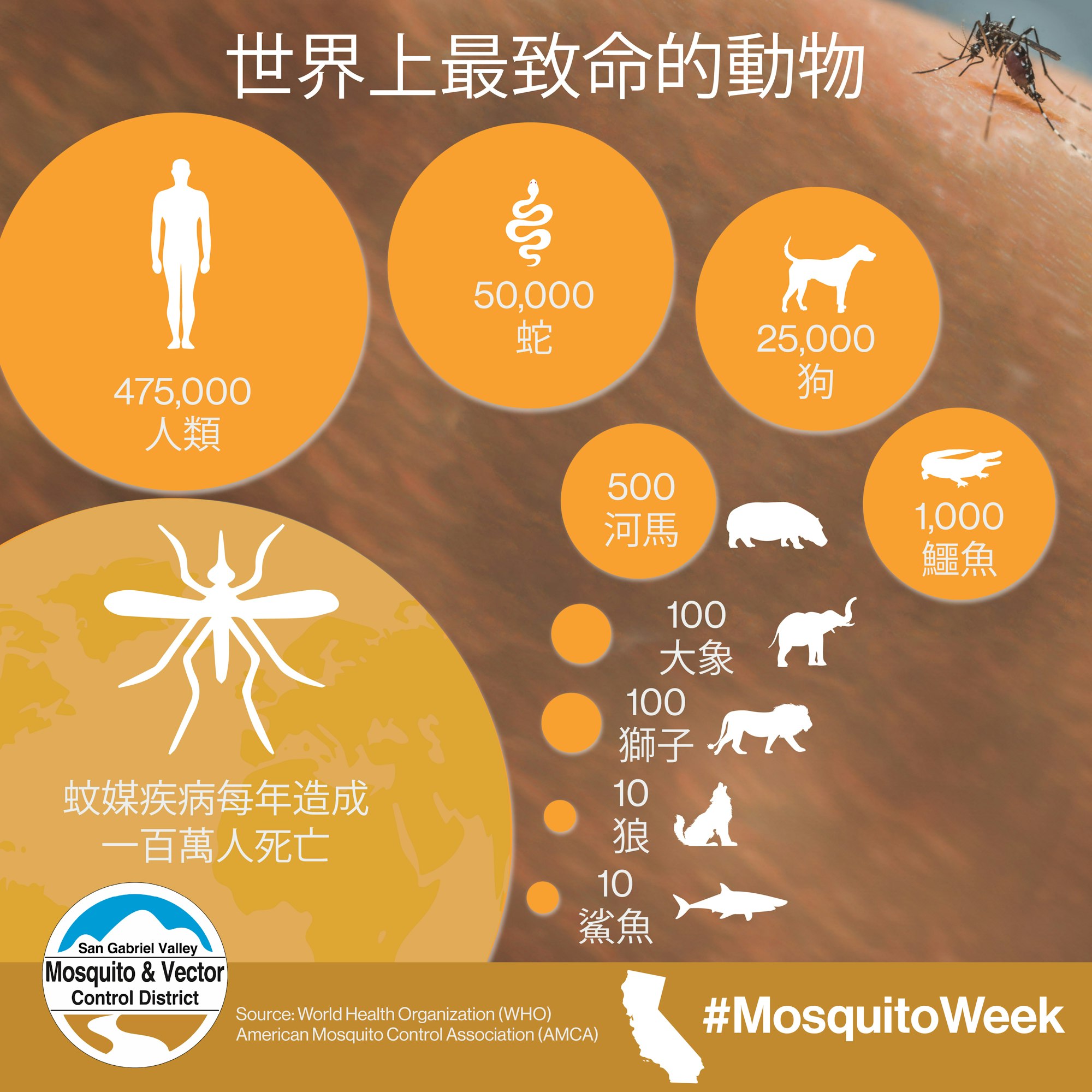 Chart of the world's deadliest animals, showing annual human deaths. Mosquito-borne diseases cause over a million deaths. #MosquitoWeek