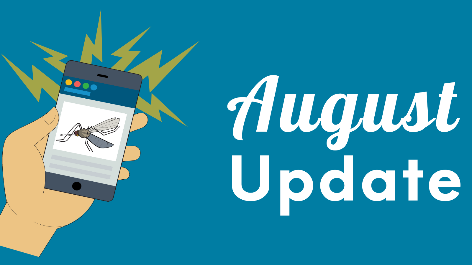 Hand holding a phone with a mosquito image. Text reads "August Update." Background has yellow zig-zag lines.