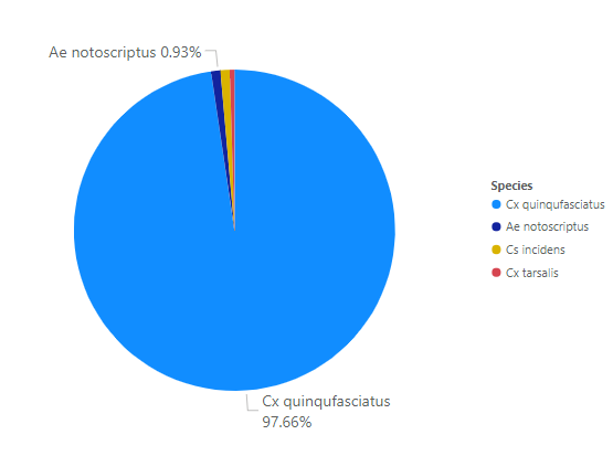 The pie chart shows species distribution: Cx quinquefasciatus at 97.66%, Ae notoscriptus at 0.93%, and others in minimal amounts.