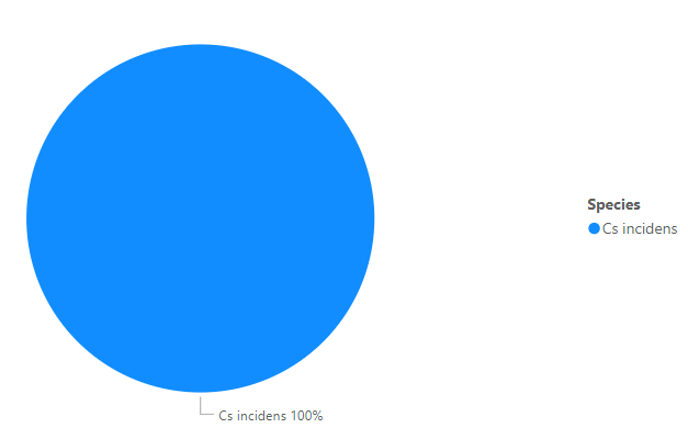 A pie chart with one category labeled "Cs incidens 100%" in blue.