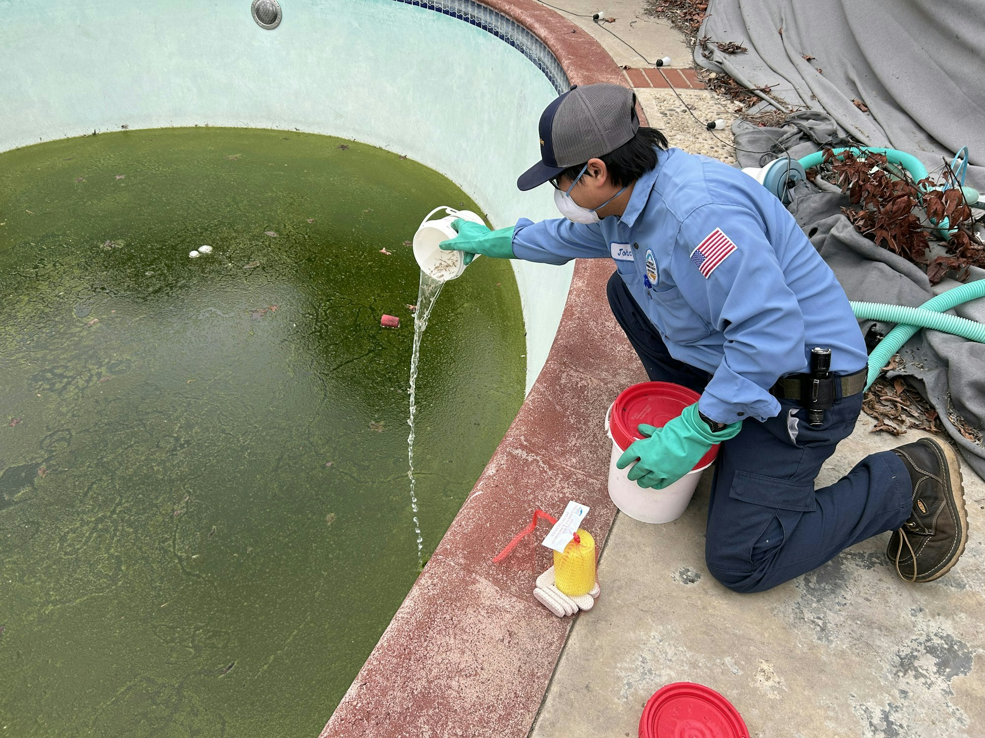 A person in a blue shirt is pouring a solution into an algae-filled pool, wearing gloves and a mask, with cleaning equipment nearby.