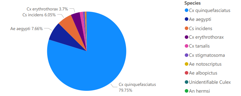 Pie chart showing species distribution: Cx quinquefasciatus (79.75%), Ae aegypti (7.66%), Cs incidens (6.05%), Cx erythrothorax (3.7%), etc.