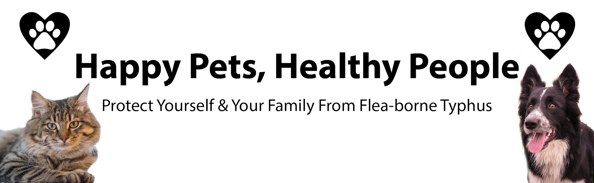 May contain: dog, pet, canine, animal, mammal, cat, and text