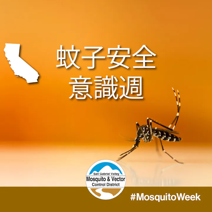 The image promotes Mosquito Week in California, featuring a mosquito and emphasizing awareness and control efforts. #MosquitoWeek